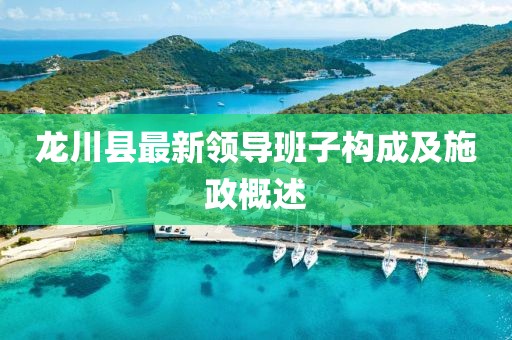 龍川縣最新領(lǐng)導班子構成及施政概述