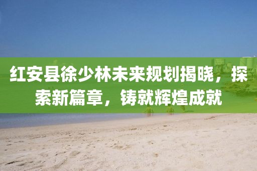 紅安縣徐少林未來(lái)規劃揭曉，探索新篇章，鑄就輝煌成就