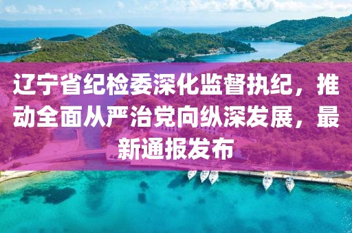 遼寧省紀檢委深化監督執紀，推動(dòng)全面從嚴治黨向縱深發(fā)展，最新通報發(fā)布