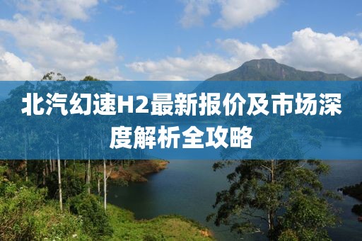 北汽幻速H2最新報價(jià)及市場(chǎng)深度解析全攻略