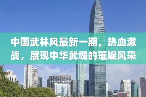 中國武林風(fēng)最新一期，熱血激戰，展現中華武魂的璀璨風(fēng)采