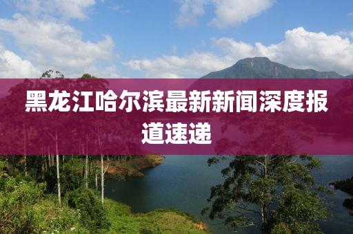 黑龍江哈爾濱最新新聞深度報道速遞