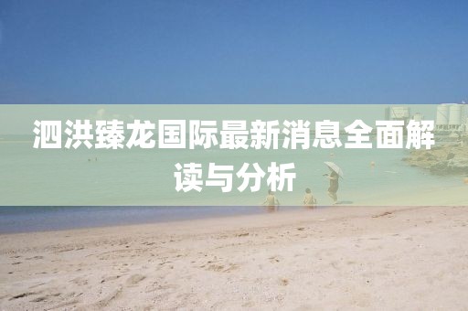 泗洪臻龍國際最新消息全面解讀與分析