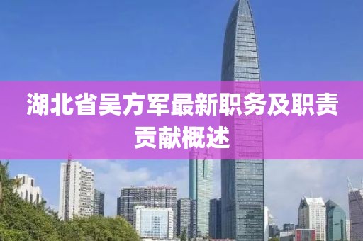 湖北省吳方軍最新職務(wù)及職責貢獻概述