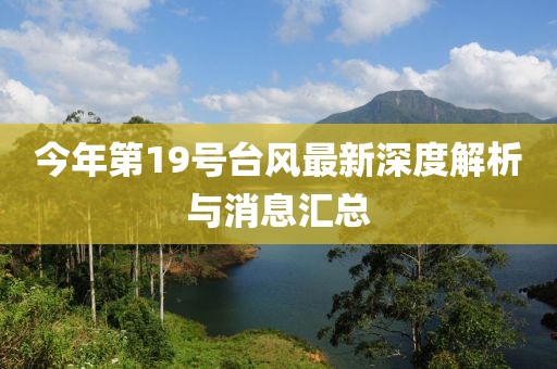 今年第19號臺風(fēng)最新深度解析與消息匯總