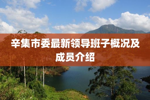 辛集市委最新領(lǐng)導班子概況及成員介紹