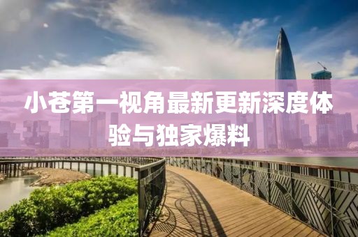 小蒼第一視角最新更新深度體驗與獨家爆料