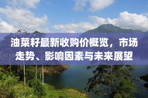 油菜籽最新收購價(jià)概覽，市場(chǎng)走勢、影響因素與未來(lái)展望