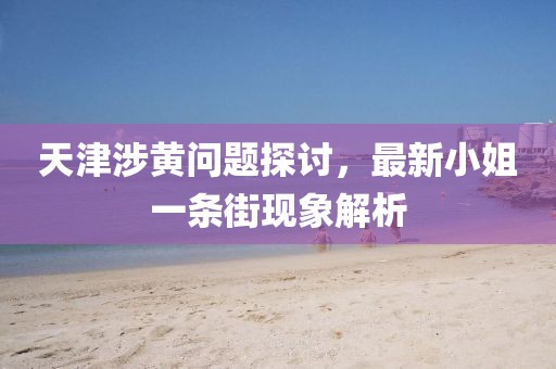 天津涉黃問(wèn)題探討，最新小姐一條街現象解析