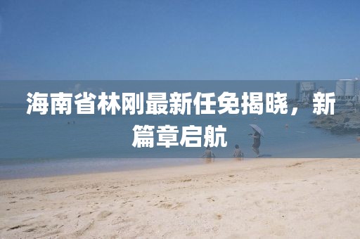 海南省林剛最新任免揭曉，新篇章啟航