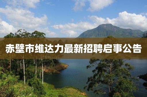 赤壁市維達力最新招聘啟事公告