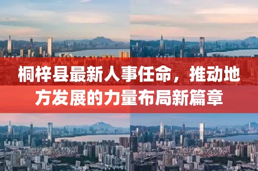 桐梓縣最新人事任命，推動(dòng)地方發(fā)展的力量布局新篇章
