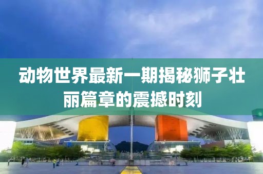 動(dòng)物世界最新一期揭秘獅子壯麗篇章的震撼時(shí)刻
