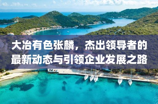 大冶有色張麟，杰出領(lǐng)導者的最新動(dòng)態(tài)與引領(lǐng)企業(yè)發(fā)展之路