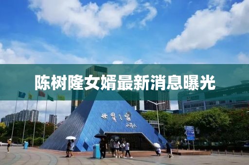 陳樹(shù)隆女婿最新消息曝光