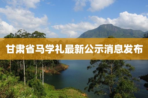甘肅省馬學(xué)禮最新公示消息發(fā)布