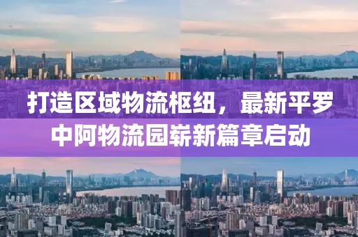 打造區域物流樞紐，最新平羅中阿物流園嶄新篇章啟動(dòng)