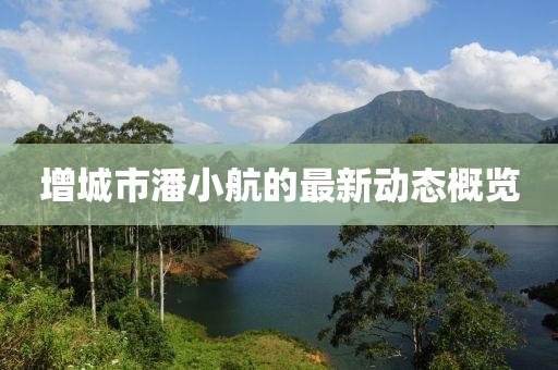 增城市潘小航的最新動(dòng)態(tài)概覽