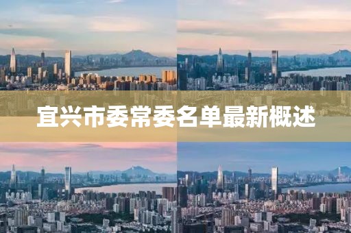 宜興市委常委名單最新概述