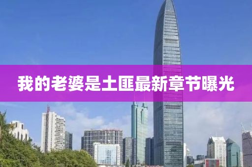 我的老婆是土匪最新章節曝光