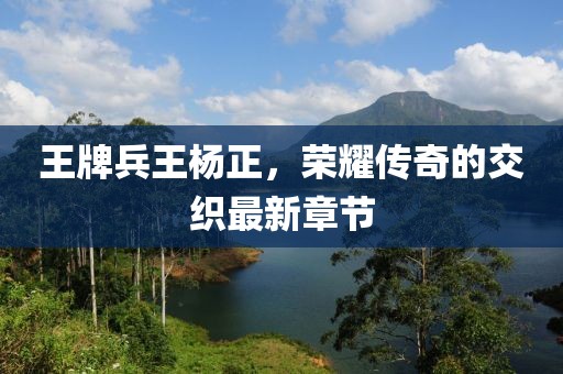 王牌兵王楊正，榮耀傳奇的交織最新章節