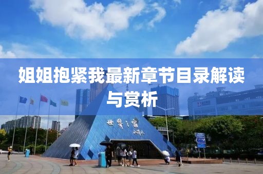 姐姐抱緊我最新章節目錄解讀與賞析