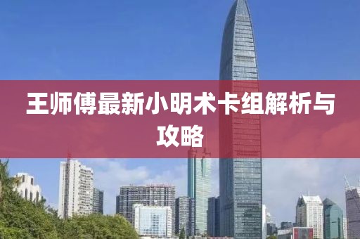 王師傅最新小明術(shù)卡組解析與攻略