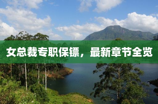 女總裁專(zhuān)職保鏢，最新章節全覽