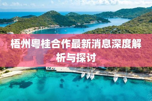 梧州粵桂合作最新消息深度解析與探討