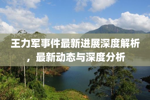王力軍事件最新進(jìn)展深度解析，最新動(dòng)態(tài)與深度分析