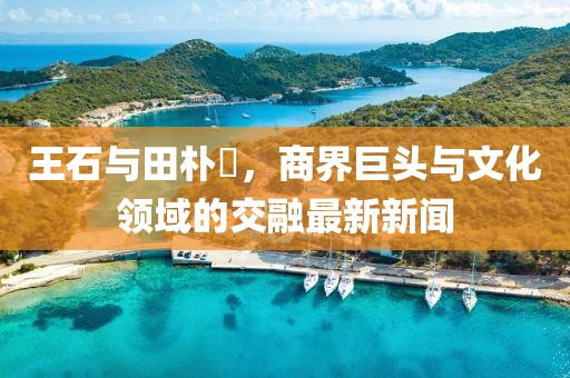 王石與田樸琤，商界巨頭與文化領(lǐng)域的交融最新新聞
