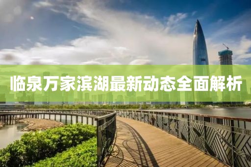 臨泉萬(wàn)家濱湖最新動(dòng)態(tài)全面解析