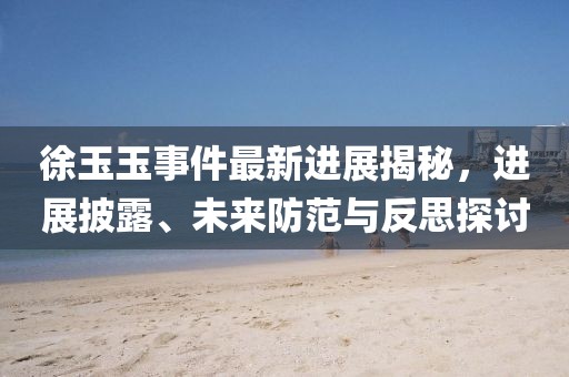 徐玉玉事件最新進(jìn)展揭秘，進(jìn)展披露、未來(lái)防范與反思探討