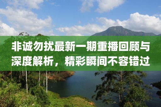 非誠勿擾最新一期重播回顧與深度解析，精彩瞬間不容錯過(guò)