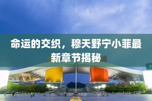 命運的交織，穆天野寧小菲最新章節揭秘
