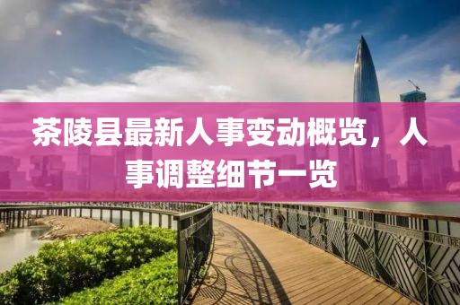 茶陵縣最新人事變動(dòng)概覽，人事調整細節一覽
