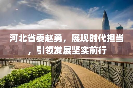 河北省委趙勇，展現時(shí)代擔當，引領(lǐng)發(fā)展堅實(shí)前行