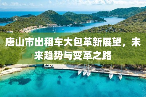 唐山市出租車(chē)大包革新展望，未來(lái)趨勢與變革之路