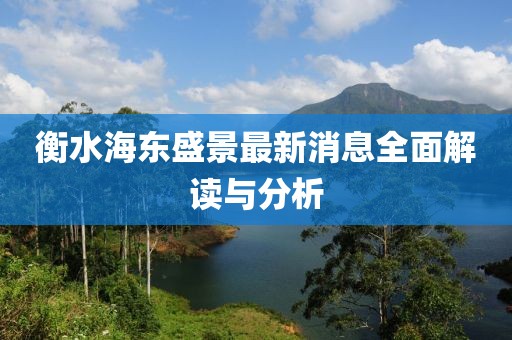 衡水海東盛景最新消息全面解讀與分析