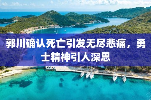 郭川確認死亡引發(fā)無(wú)盡悲痛，勇士精神引人深思