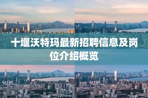 十堰沃特瑪最新招聘信息及崗位介紹概覽