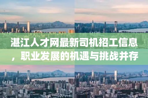 湛江人才網(wǎng)最新司機招工信息，職業(yè)發(fā)展的機遇與挑戰并存