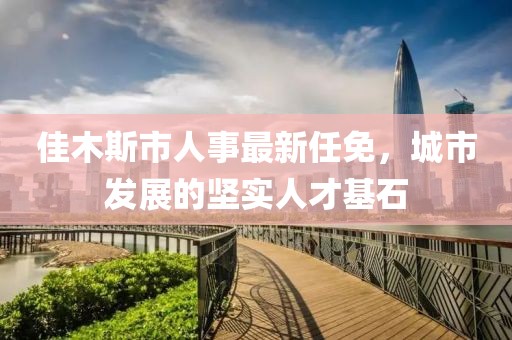佳木斯市人事最新任免，城市發(fā)展的堅實(shí)人才基石