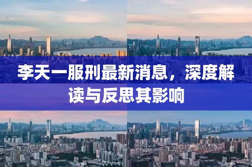 李天一服刑最新消息，深度解讀與反思其影響
