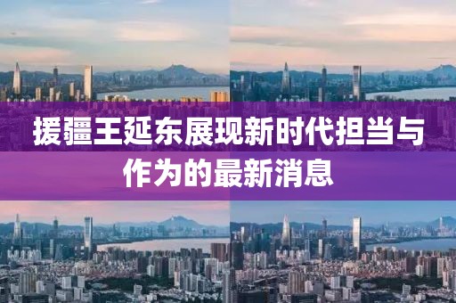 援疆王延東展現新時(shí)代擔當與作為的最新消息