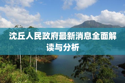 沈丘人民政府最新消息全面解讀與分析