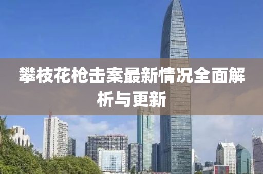 攀枝花槍擊案最新情況全面解析與更新