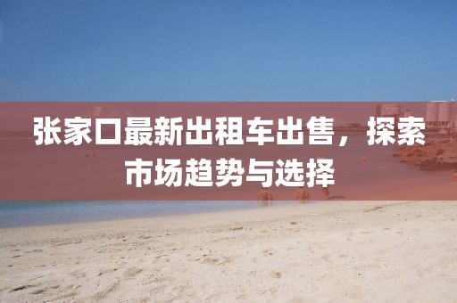 張家口最新出租車(chē)出售，探索市場(chǎng)趨勢與選擇