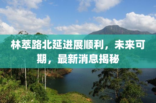 林萃路北延進(jìn)展順利，未來(lái)可期，最新消息揭秘