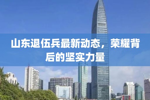 山東退伍兵最新動(dòng)態(tài)，榮耀背后的堅實(shí)力量